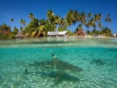 逃离神秘海底世界